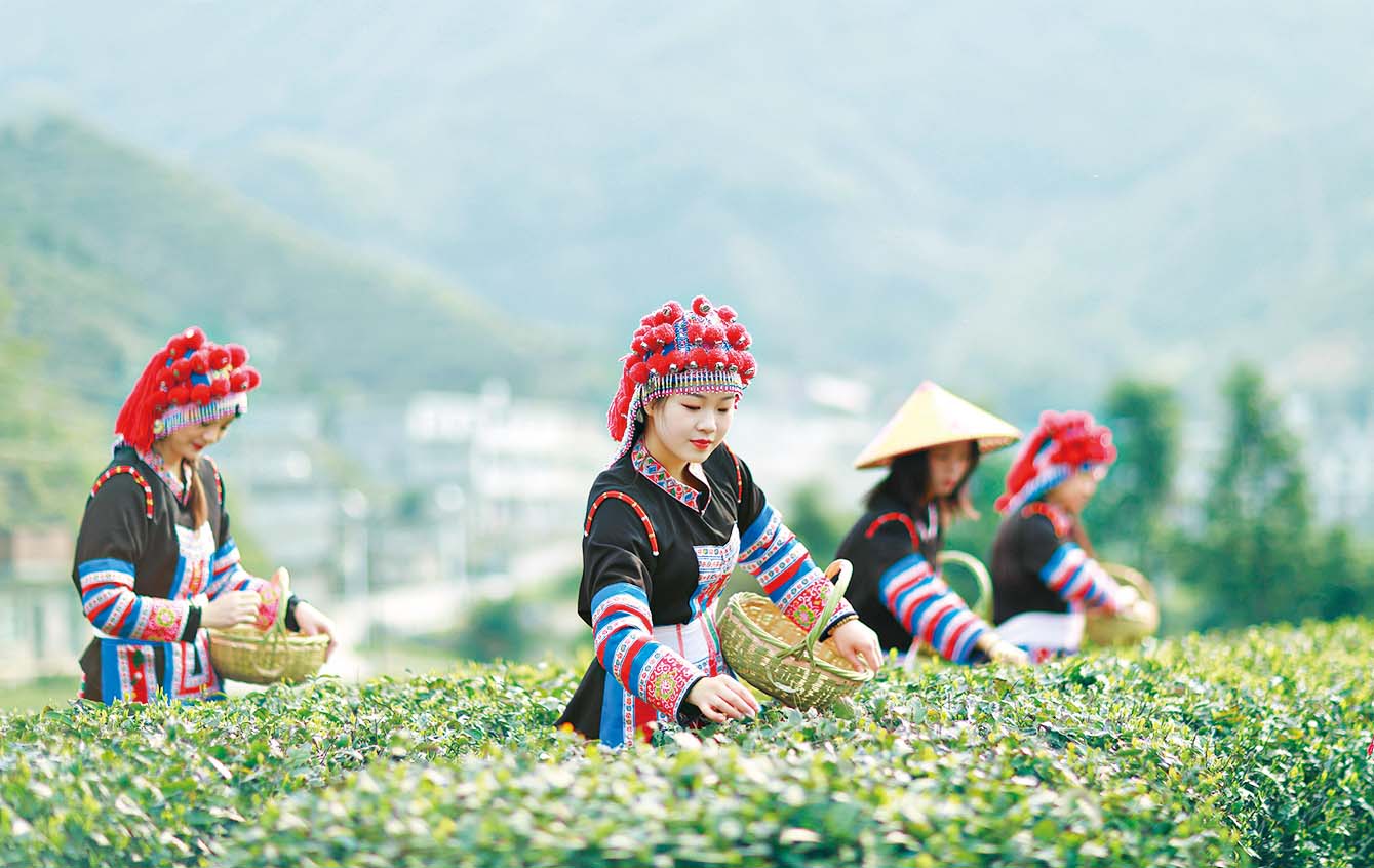 湖南政协新闻网