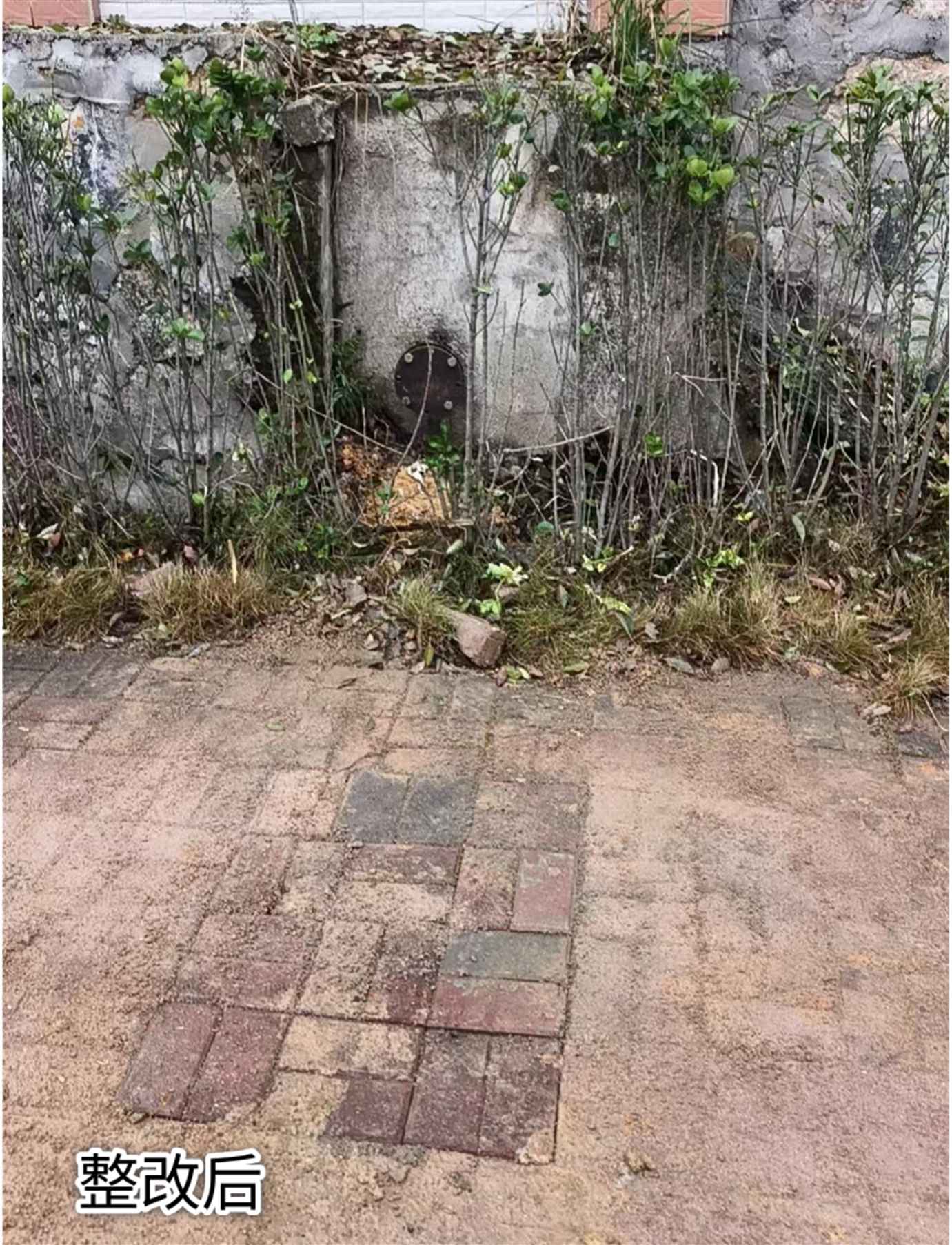 湖南政协新闻网