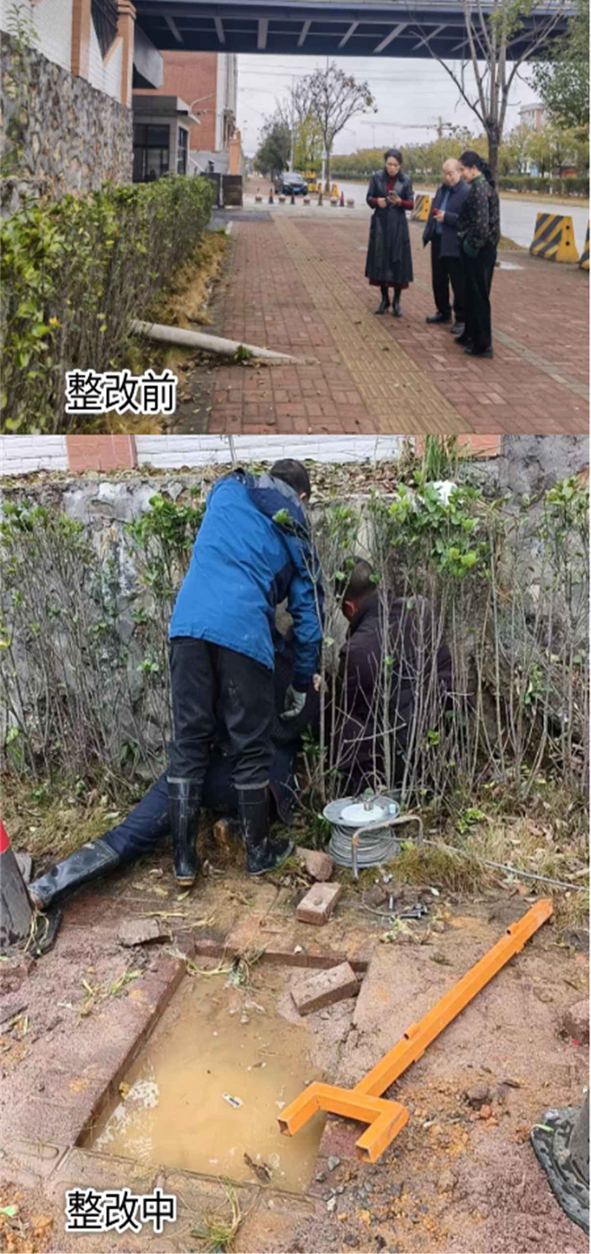 湖南政协新闻网