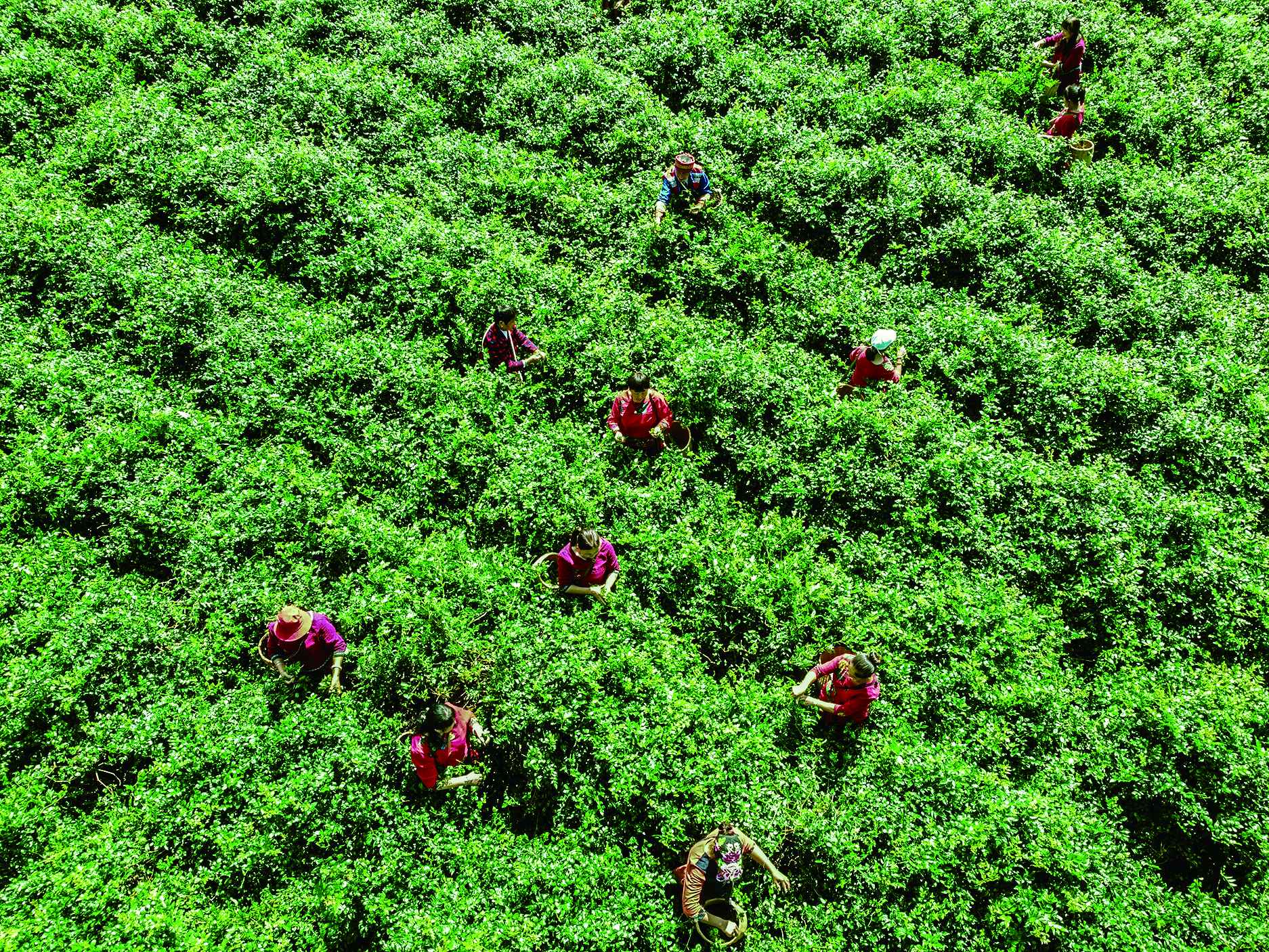 湖南政协新闻网