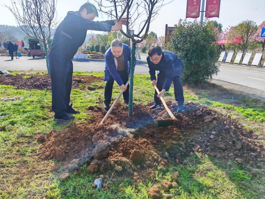 湖南政协新闻网