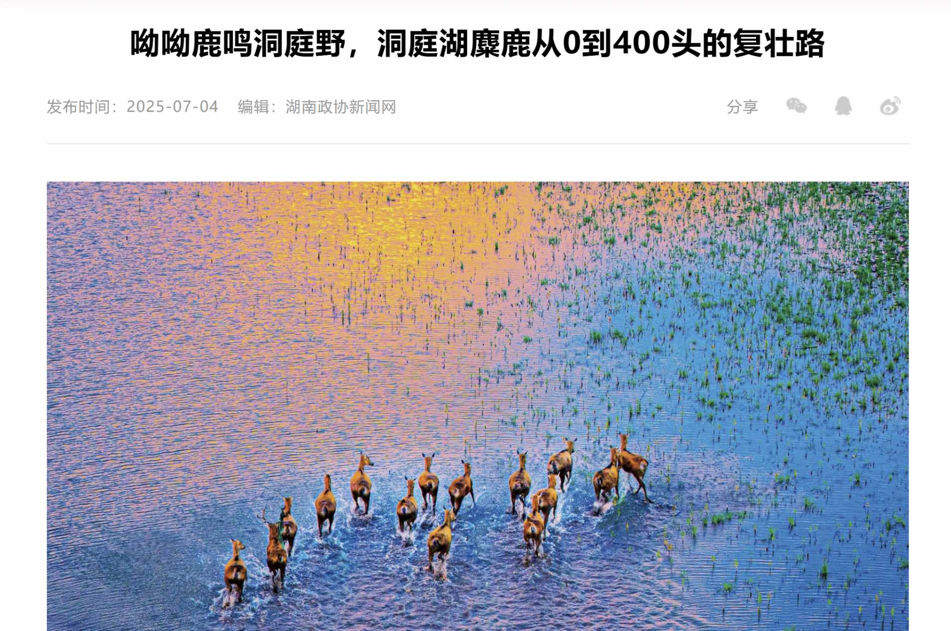 湖南政协新闻网