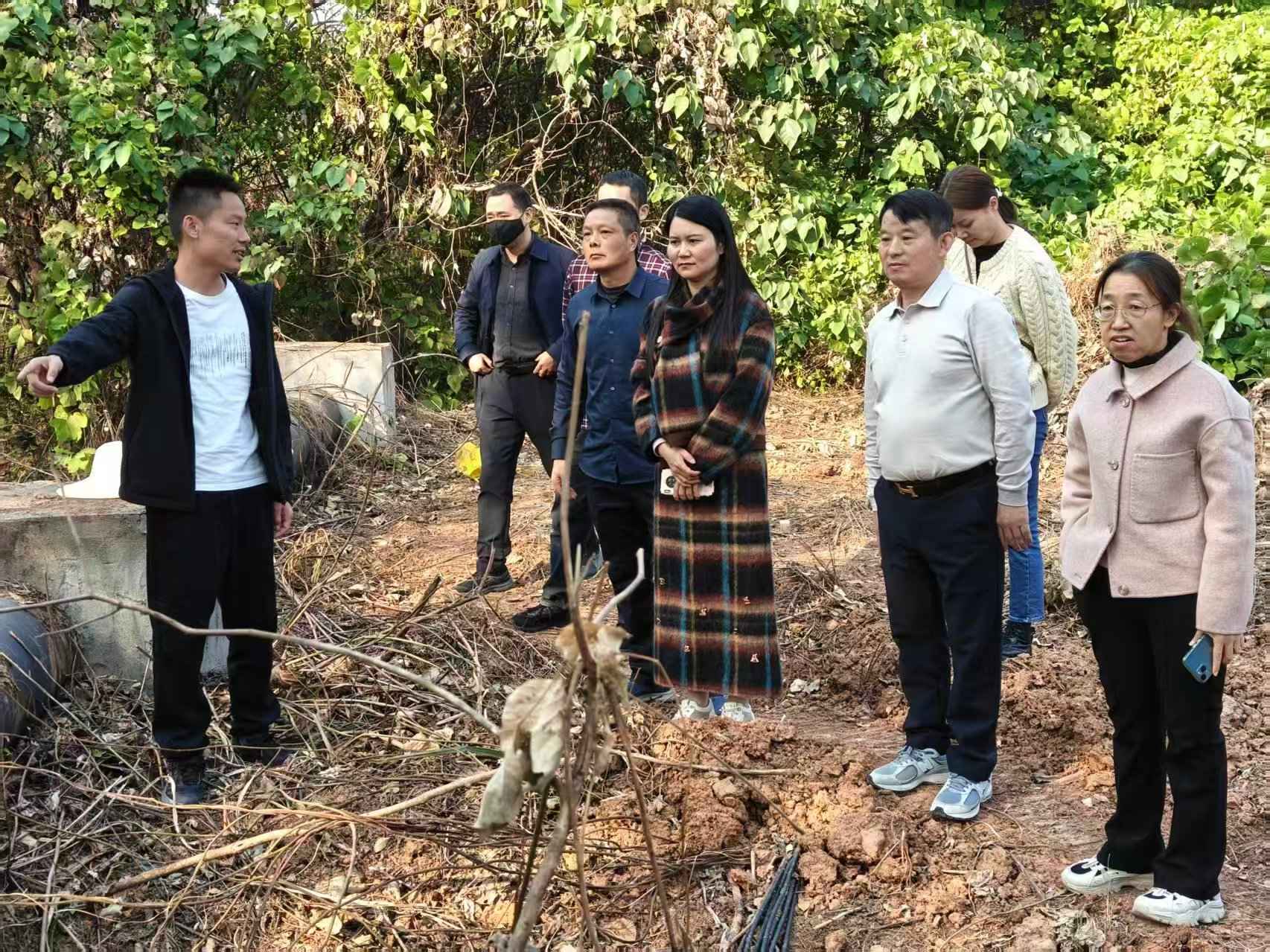 湖南政协新闻网