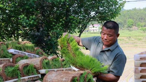 湖南政协新闻网