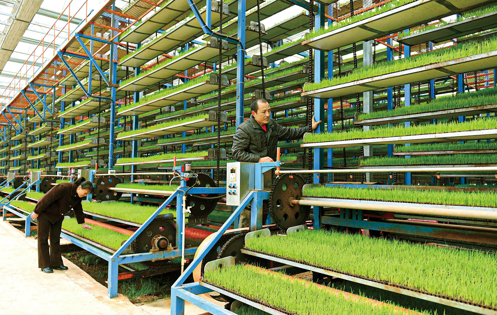 湖南政协新闻网