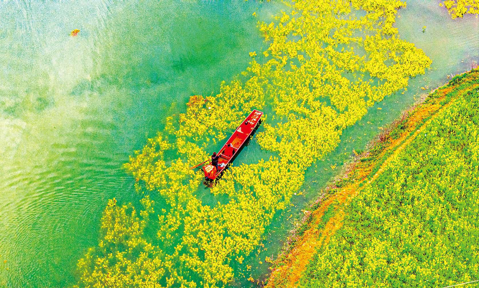 湖南政协新闻网