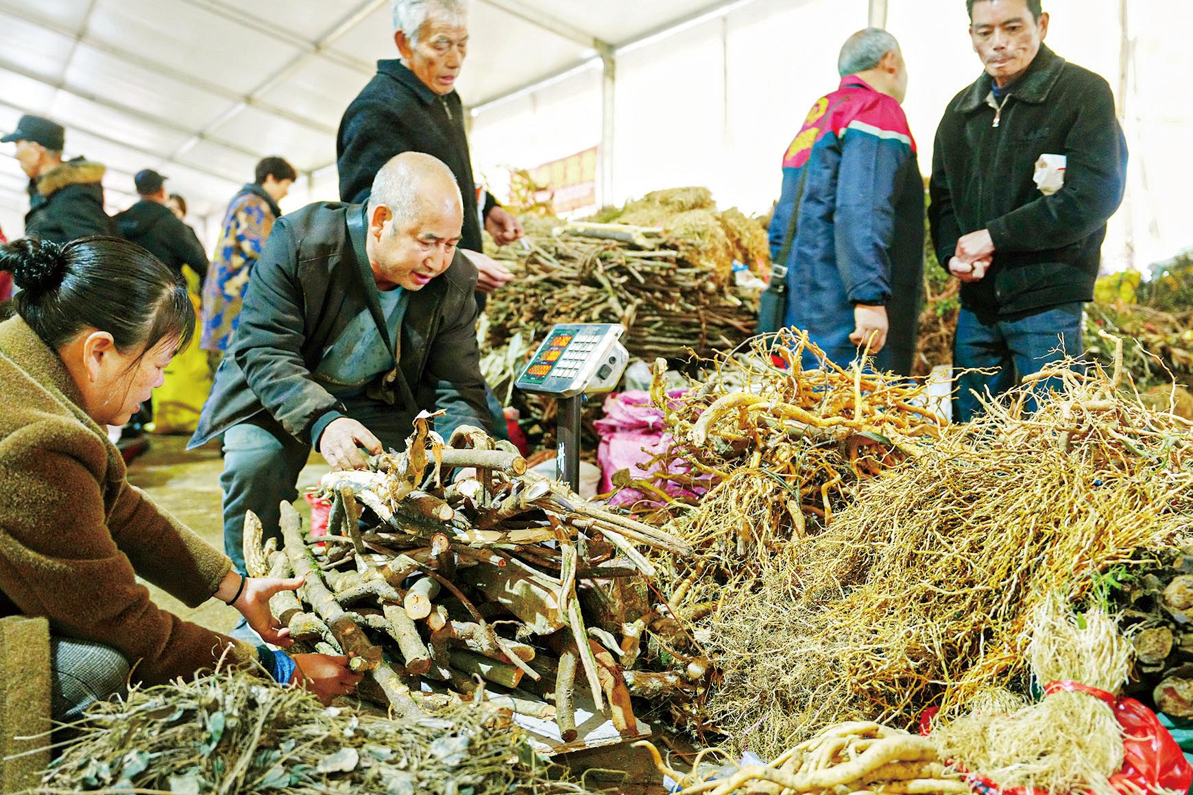 湖南政协新闻网