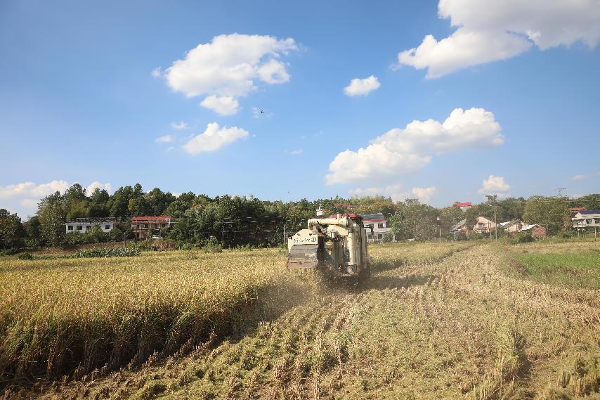 湖南政协新闻网