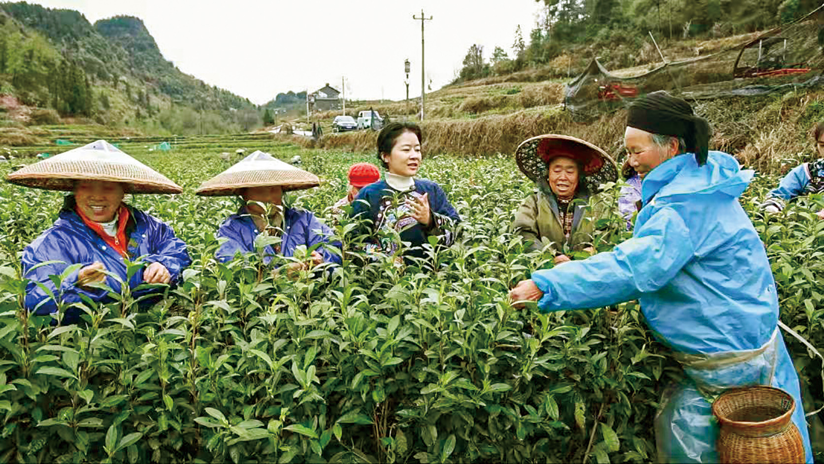 湖南政协新闻网