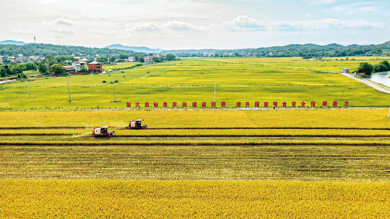 湖南政协新闻网