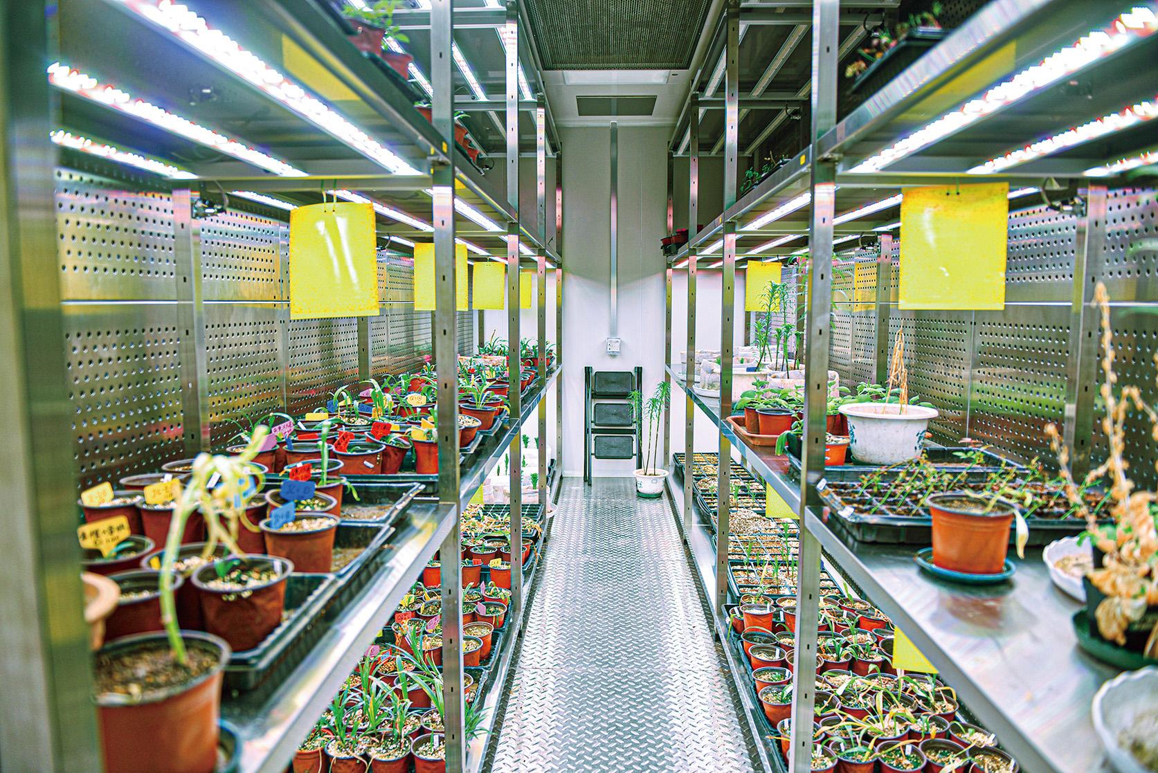 湖南政协新闻网 湖南政协新闻网