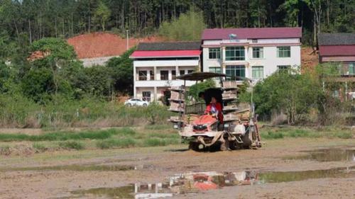 湖南政协新闻网