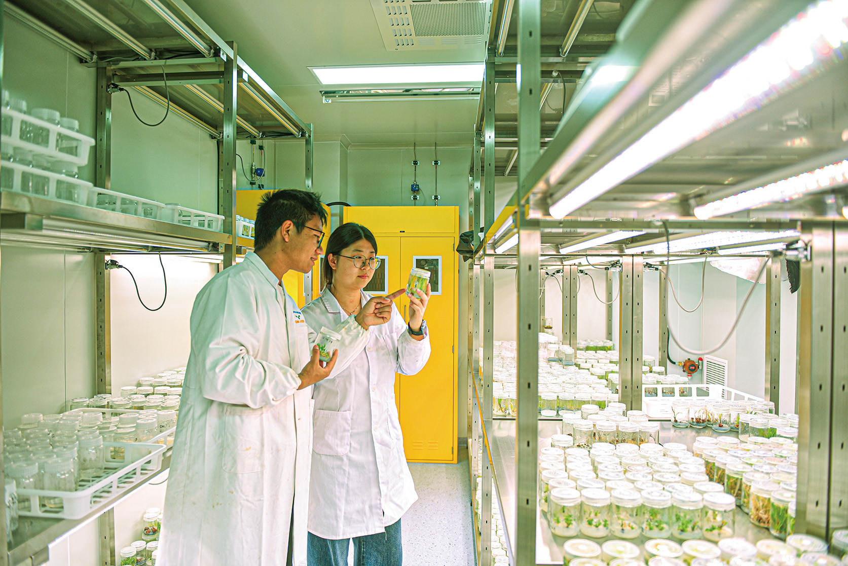 湖南政协新闻网 湖南政协新闻网