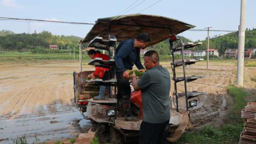 湖南政协新闻网