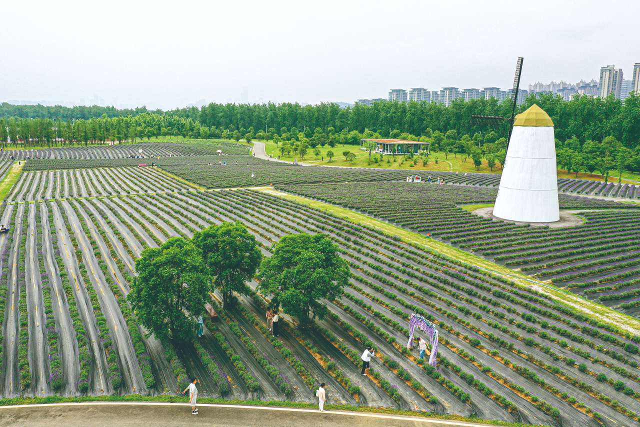 湖南政协新闻网