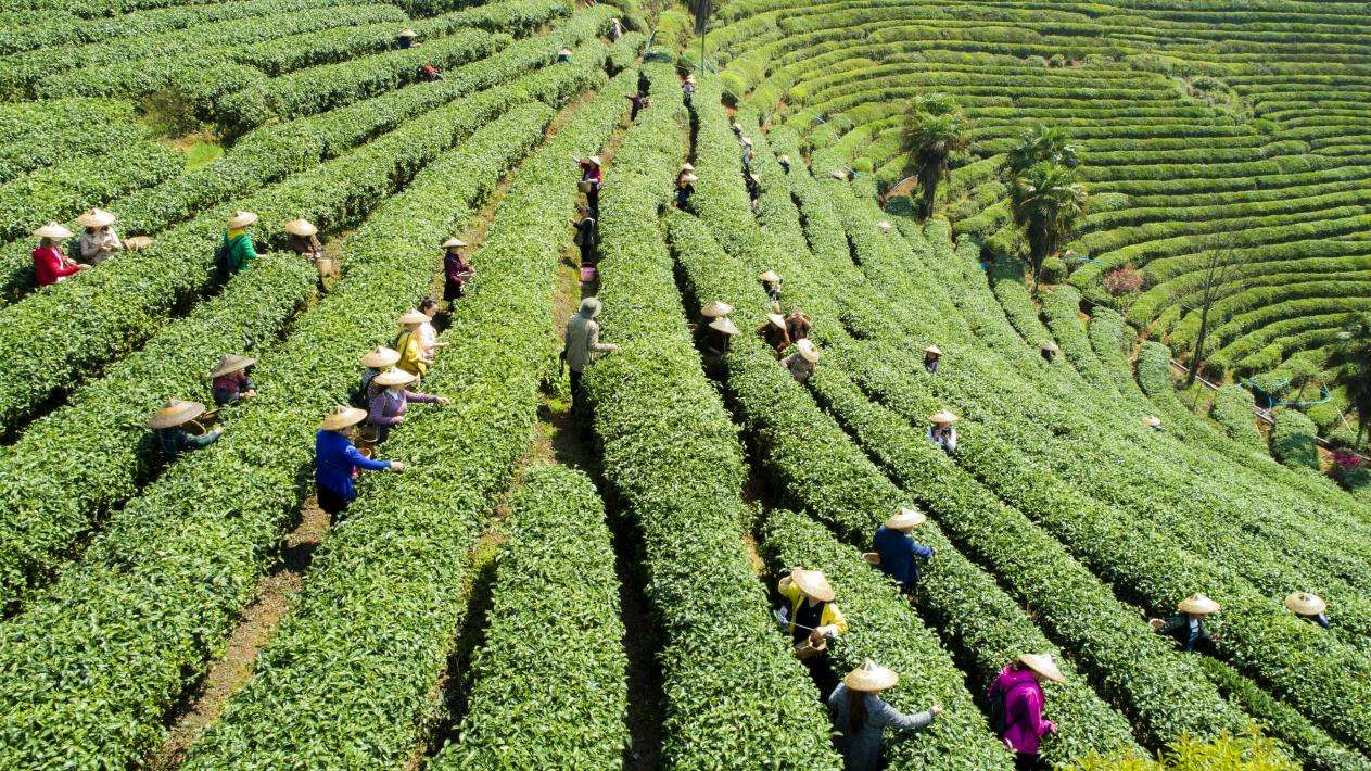 湖南政协新闻网 湖南政协新闻网