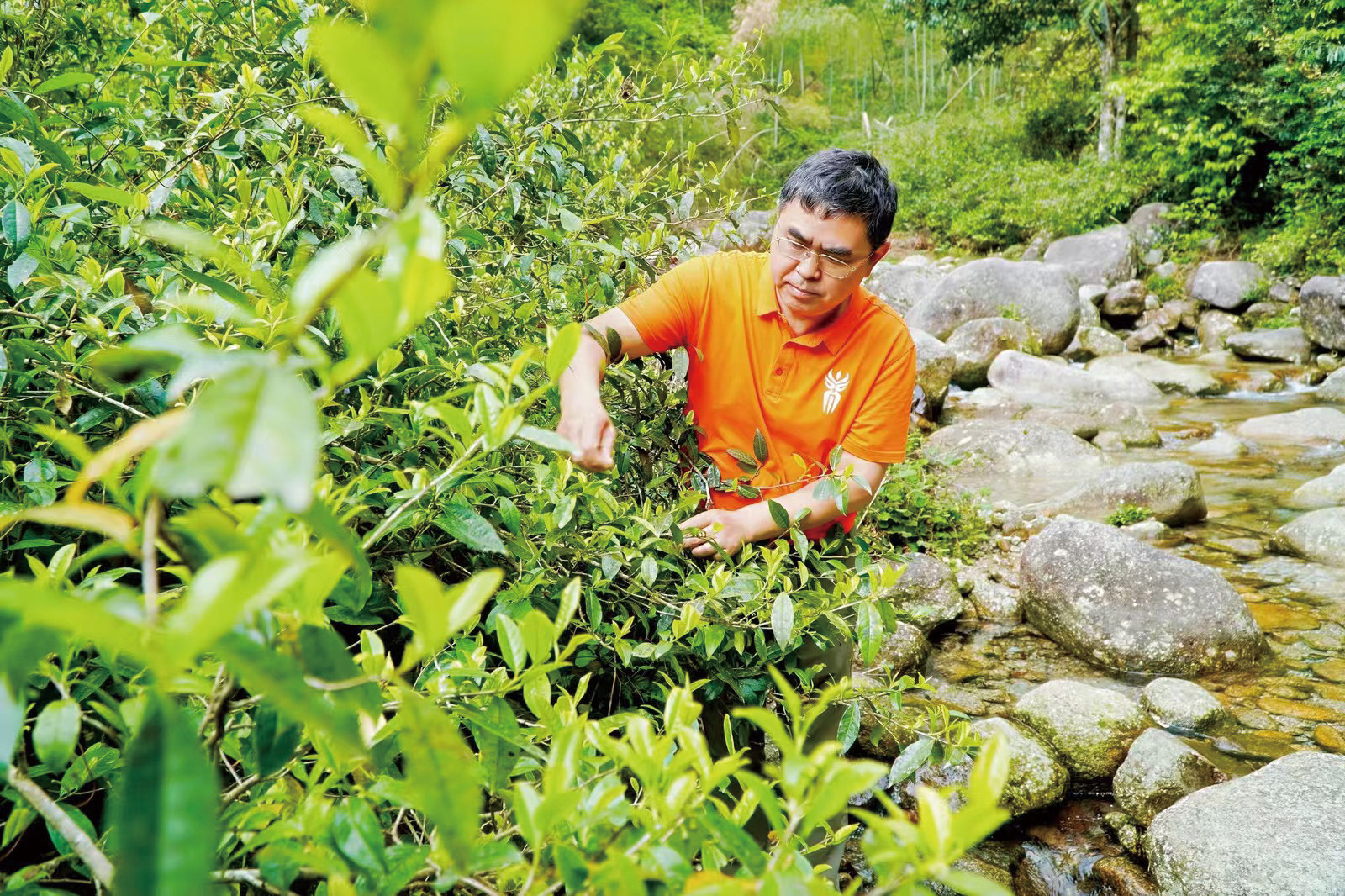 湖南政协新闻网