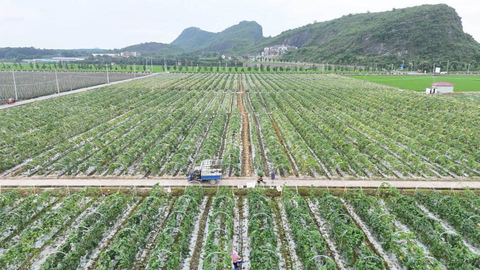 湖南政协新闻网 湖南政协新闻网