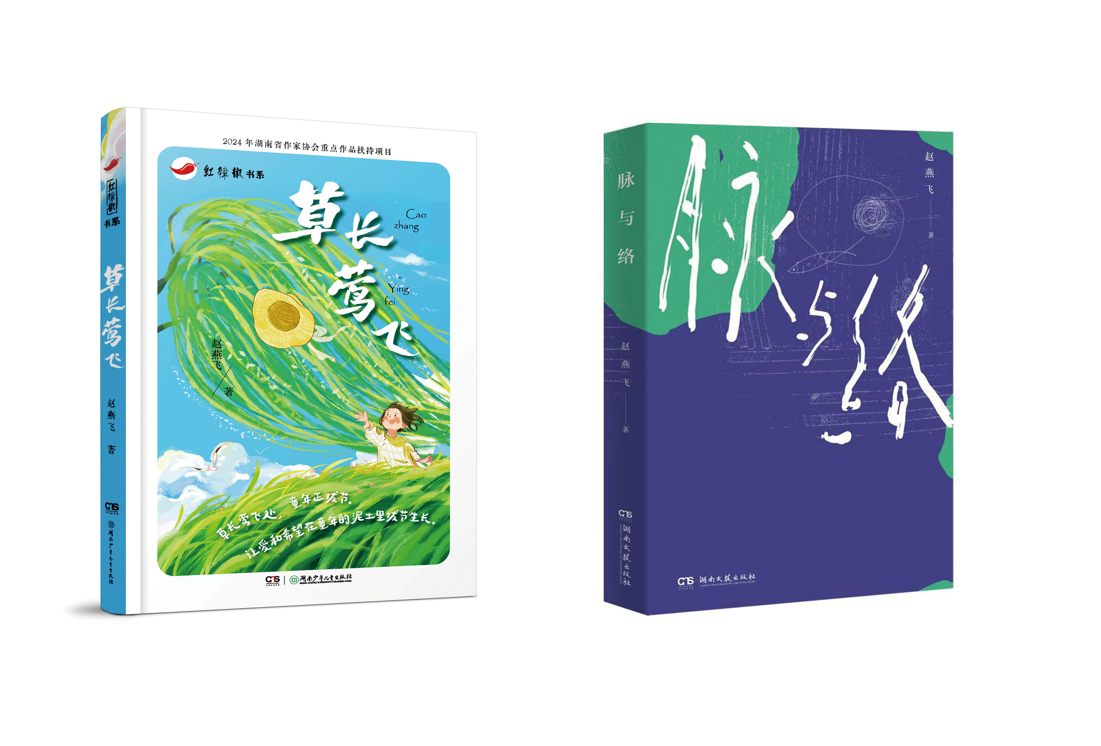 湖南政协新闻网