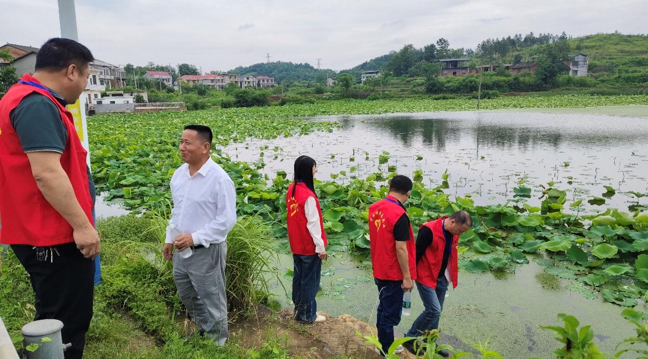 湖南政协新闻网