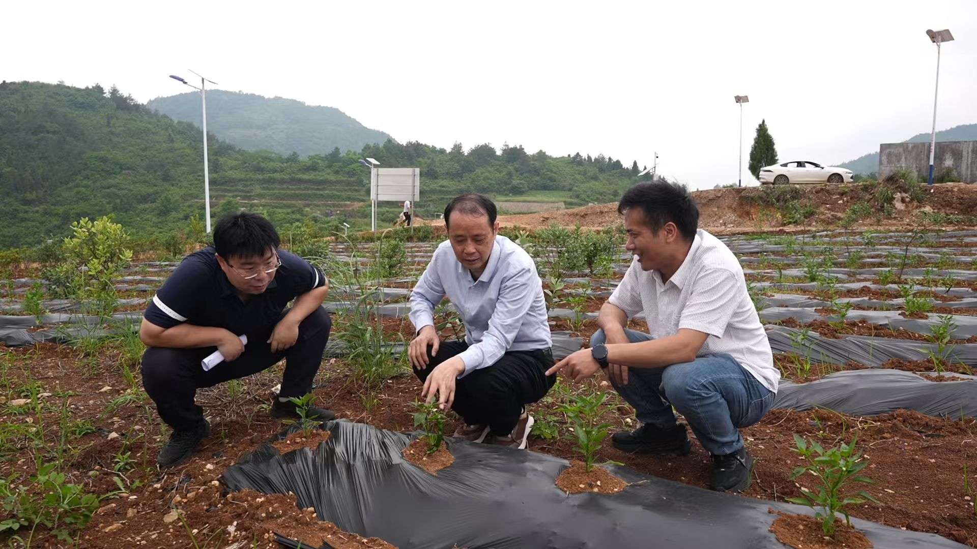 湖南政协新闻网 湖南政协新闻网