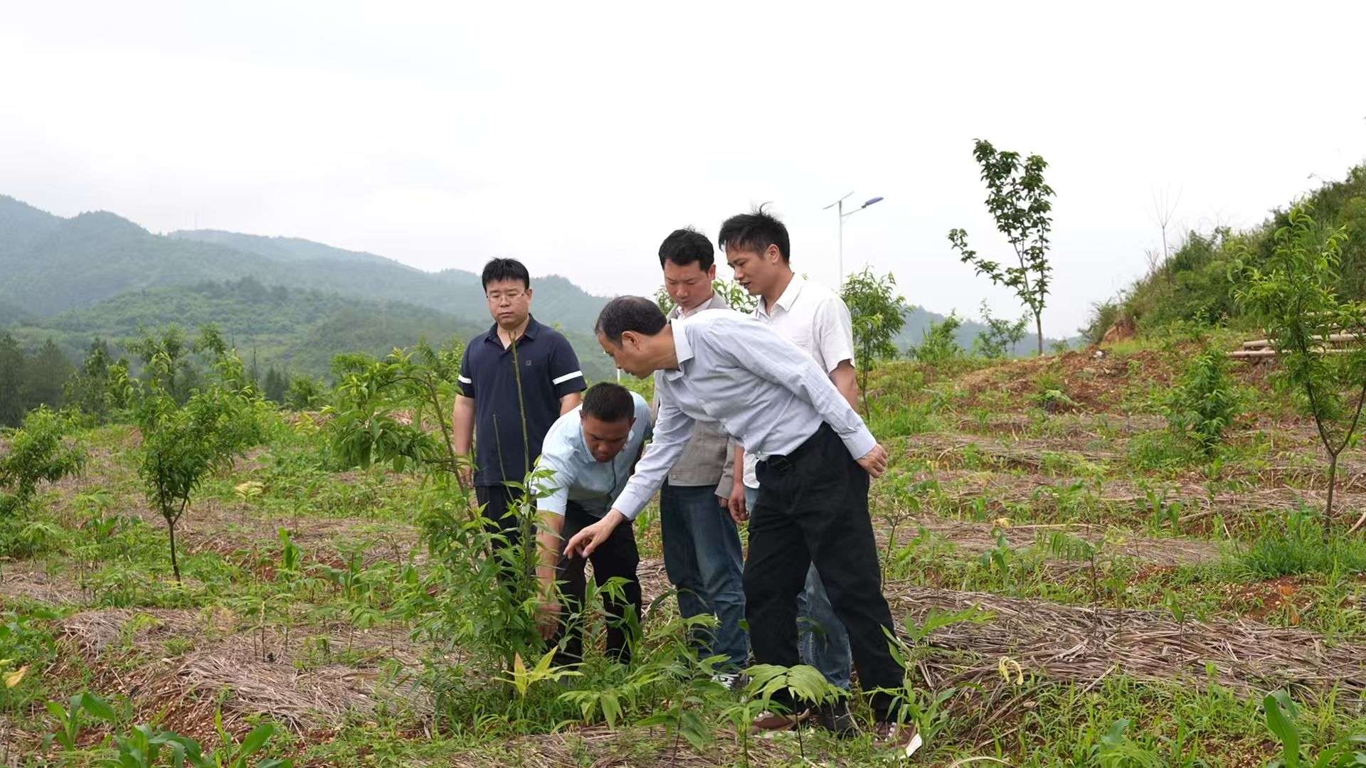 湖南政协新闻网 湖南政协新闻网