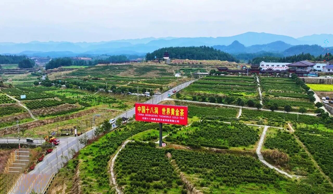 湖南政协新闻网 湖南政协新闻网