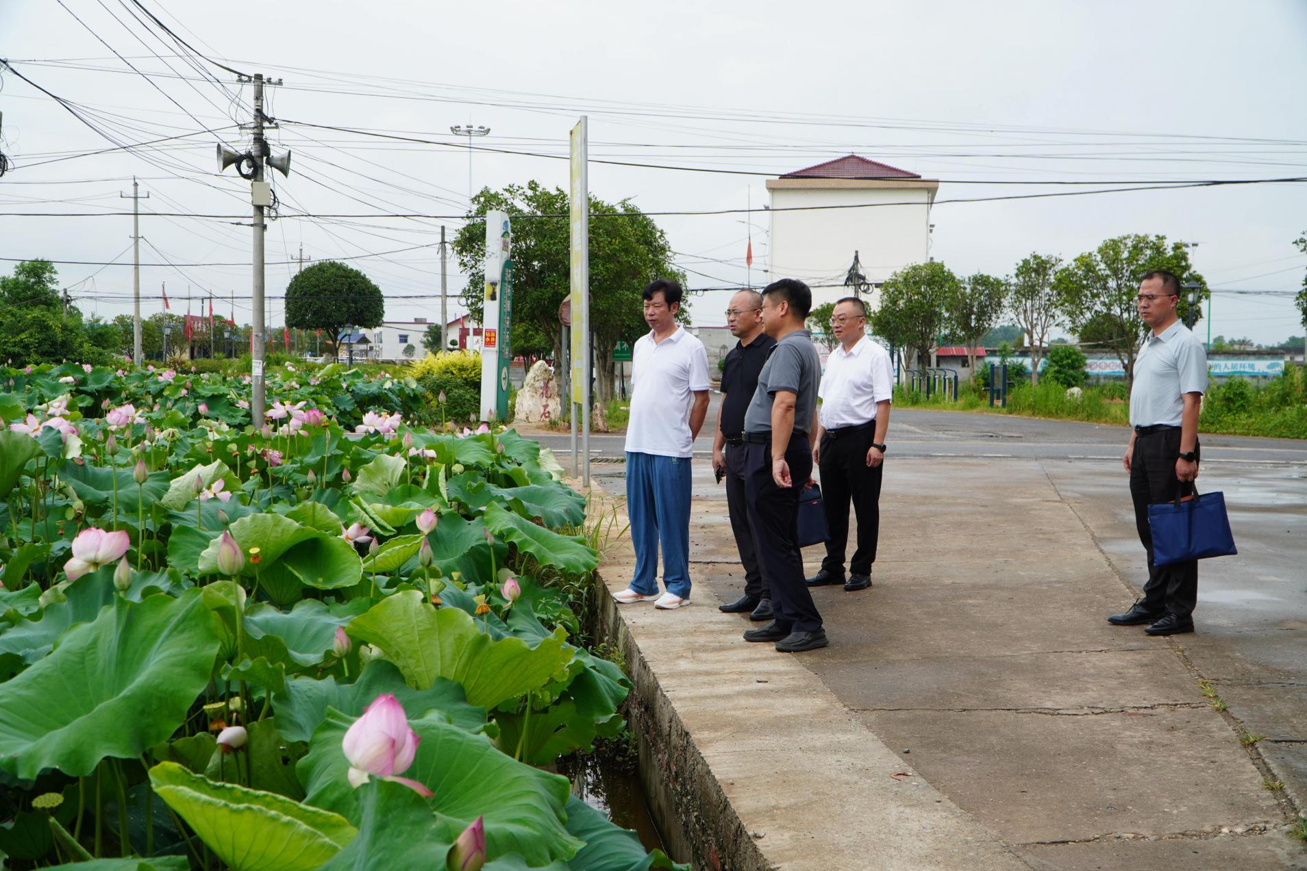湖南政协新闻网 湖南政协新闻网