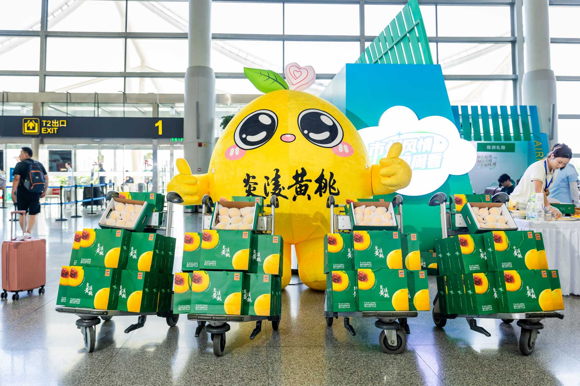 湖南政协新闻网 湖南政协新闻网