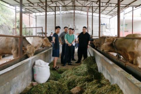 湖南政协新闻网