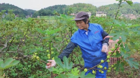 湖南政协新闻网 湖南政协新闻网