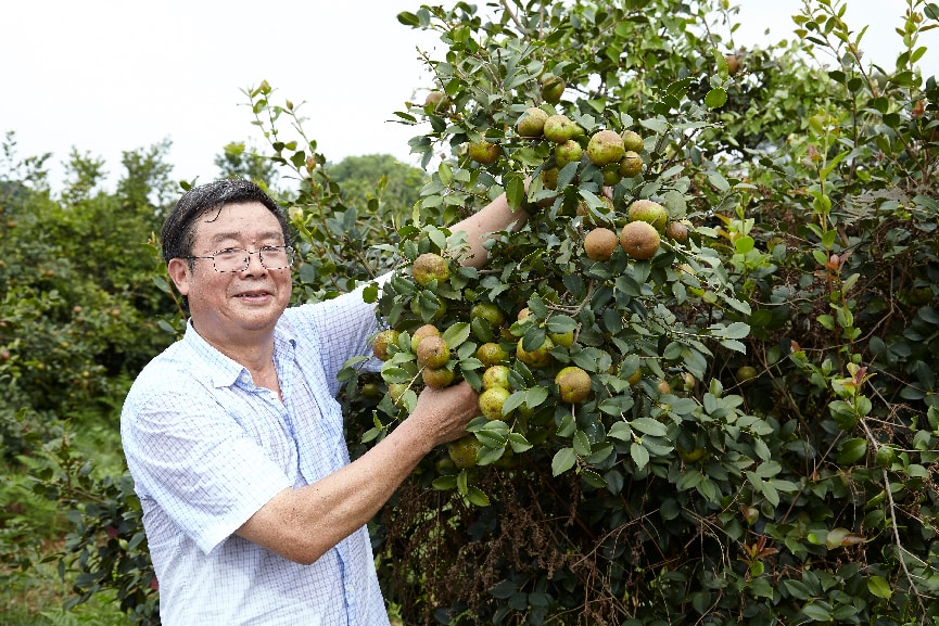 湖南政协新闻网 湖南政协新闻网