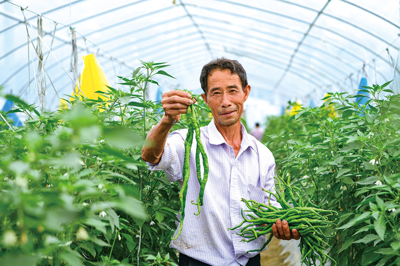 湖南政协新闻网 湖南政协新闻网