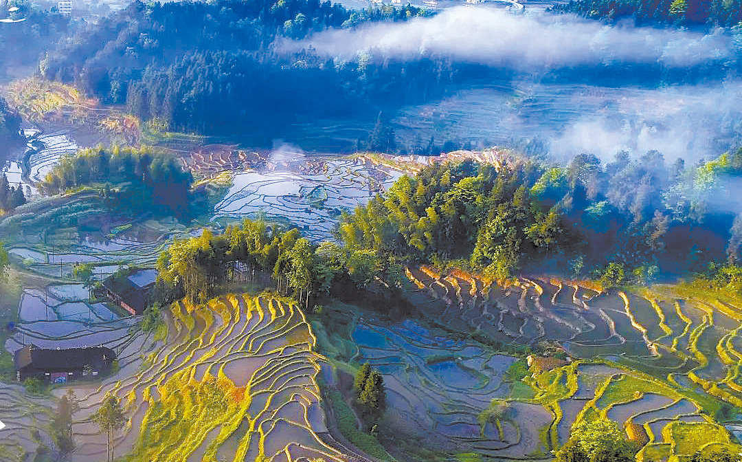 144298_zhangchunmei_1663865140880.jpg