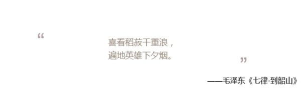 QQ浏览器截图20180428081147.jpg