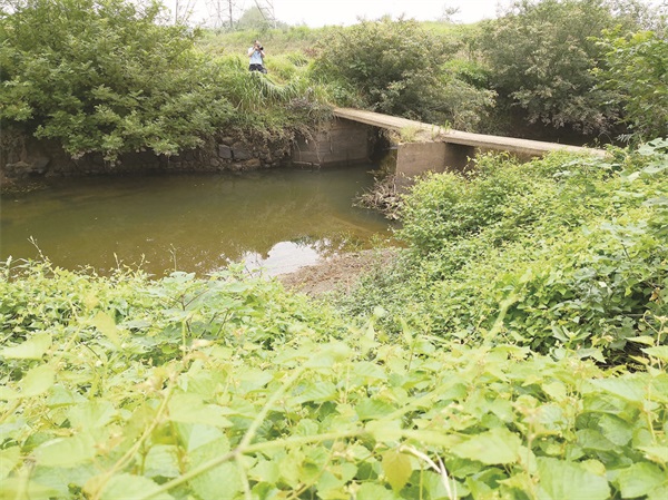 47470_zhangchunmei_1588261991605.jpg