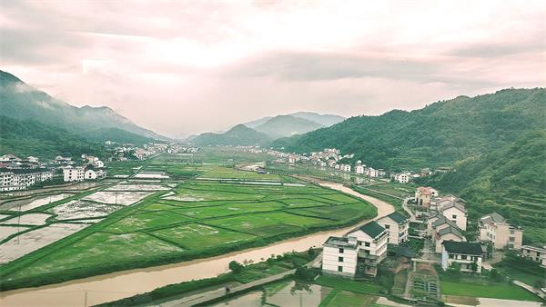 52219_zhangchunmei_1592537166905.jpg