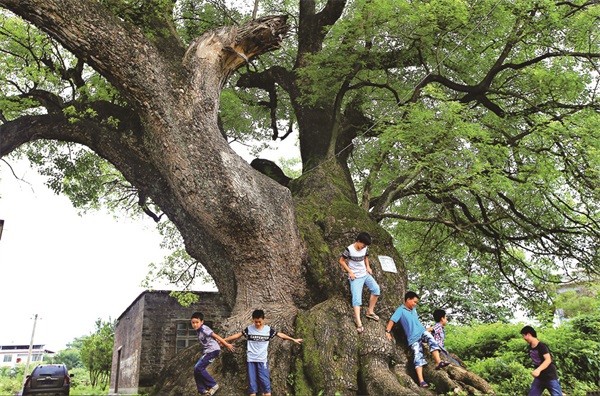 57168_zhangchunmei_1596683499355.jpg