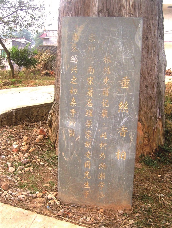 57171_zhangchunmei_1596683608742.jpg