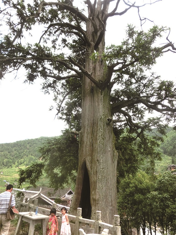 57176_zhangchunmei_1596684035401.jpg