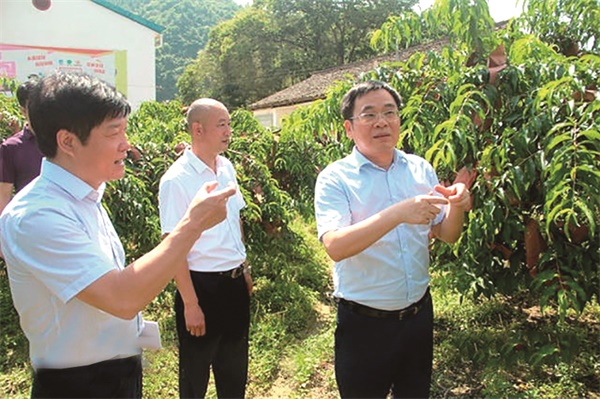 黄诗燕-黄桃3.jpg