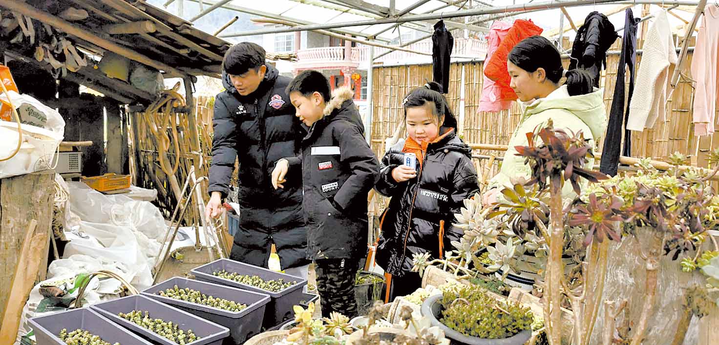 胡熙带孩子们观察植物(119826)-20220217180002.jpg