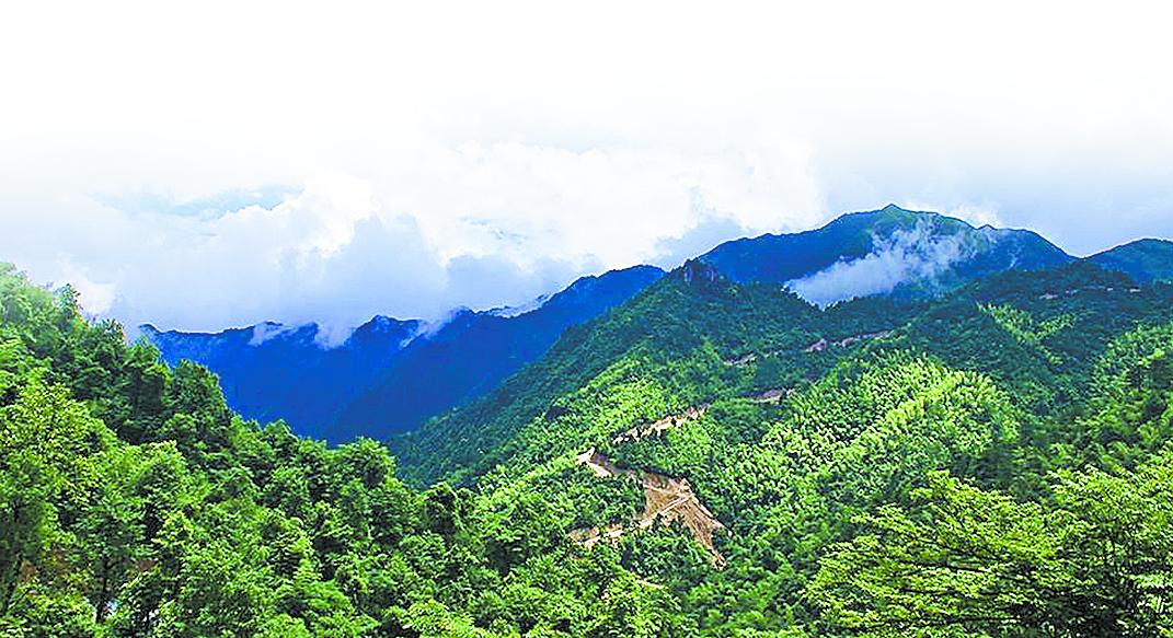 五级林长一起“管山”_ABC看图.jpg