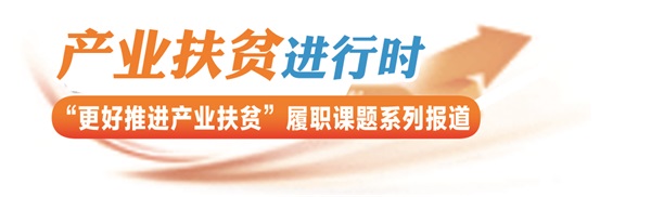 产业扶贫进行时-栏花.jpg