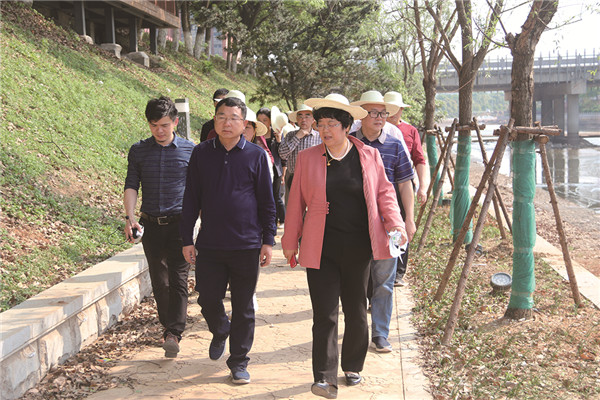 临湘市政协.jpg