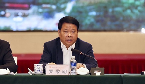 全国政协民族和宗教委员会副主任罗黎明.jpg