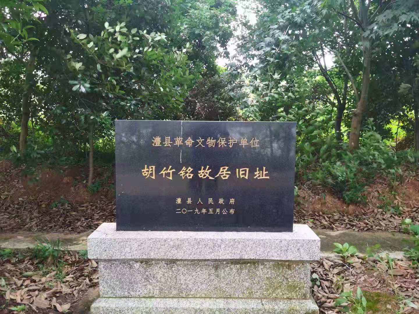 1.jpg