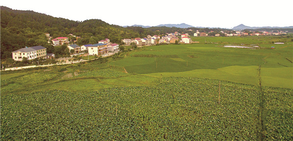 南岳区-２.jpg