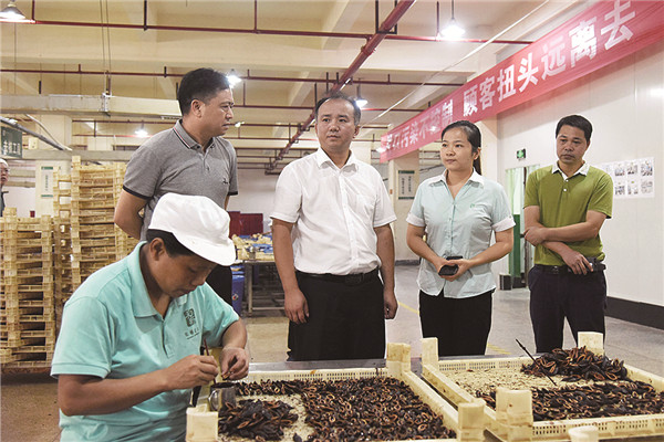 安全制度情况.jpg