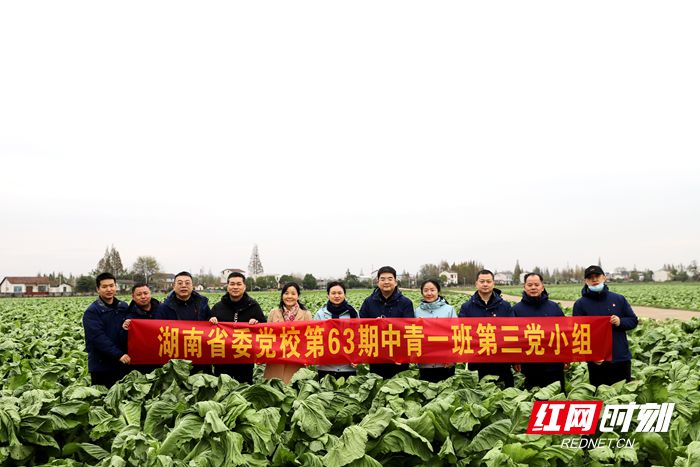 第3党小组开展华容县芥菜产业发展调研_副本.jpg